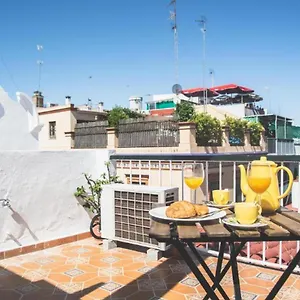 https://banos-terraza-casa-sevillana.es-andalucia.com